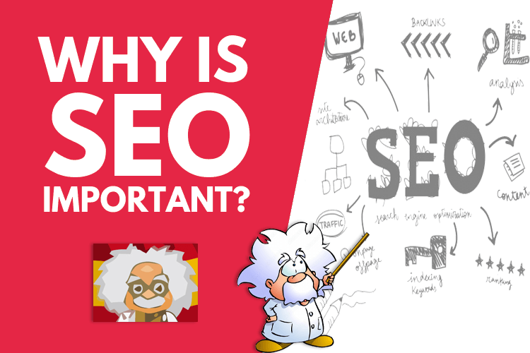 Top 5 Reasons Why SEO Is Important For Your Business Pacospain